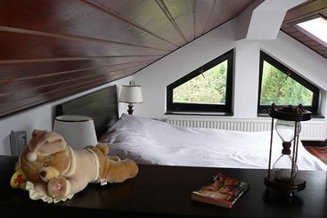 پانسیون Drachenhaus Poiana Brasov