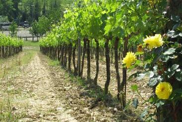 هتل Agriturismo Corte Benedetto
