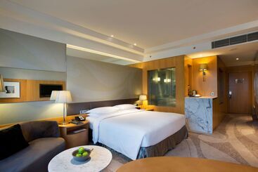 هتل Hyatt Regency Gurgaon