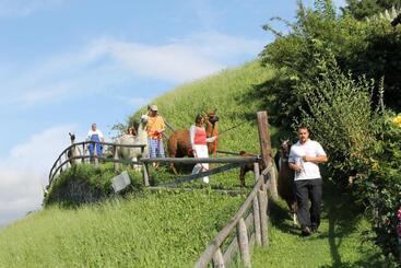 هتل Torgglerhof