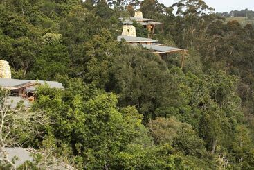 Tsala Treetop Lodge