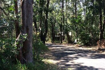 Byron Bay Rainforest Resort