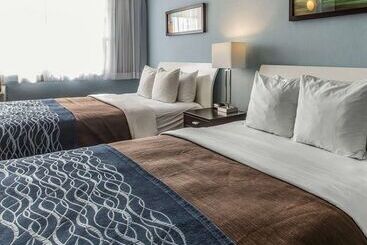 Comfort Inn & Suites - Levittown