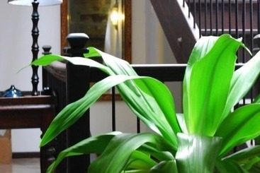 هتل Kisiwa House
