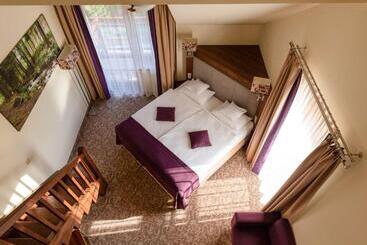 هتل Mercure Krynica Zdrój Resort&spa
