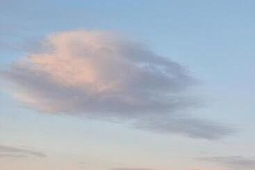 هتل The Bedouin Moon