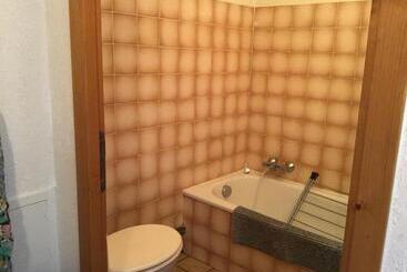 Le Refuge Apparts Et 1chalets A Samoens 74
