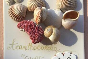 تختخواب و صبحانه Falesiaconero