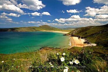 هتل Downings Bay