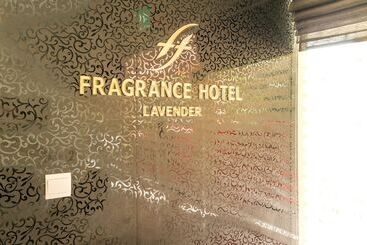Fragrance Hotel   Lavender