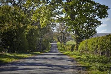 هتل Lily Hill Farm
