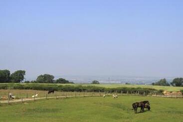 هتل Lily Hill Farm