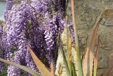 B&b Fior Di Toscana