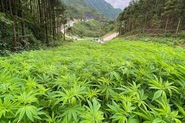تختخواب و صبحانه Ha Giang Safari Hostel & Motorbikes