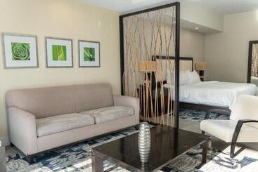 Modern Private Studio   King Bed, Jacuzzi, Balcony And Pool