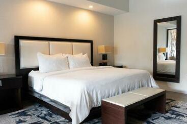 Modern Private Studio   King Bed, Jacuzzi, Balcony And Pool