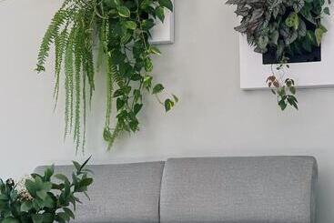 تختخواب و صبحانه Luna House & Cowork