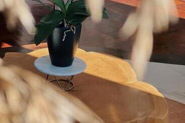 تختخواب و صبحانه Luna House & Cowork