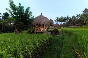هتل Mathis Retreat Ubud