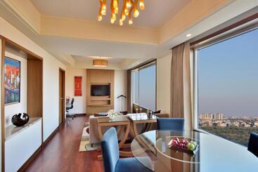 Radisson Blu Hotel, Indore