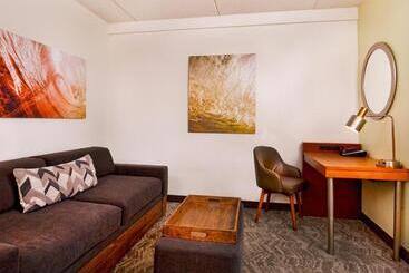 هتل Springhill Suites Chesapeake Greenbrier