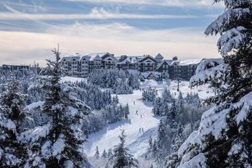Snowshoe Ski In & Ski Out At Silvercreek Resort   Family Friendly, Jacuzzi, Hot Tub, Mountain Views