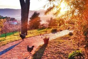 La Ginestra B&b