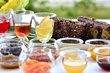 The Terrace Club Wellness Resort At Busena