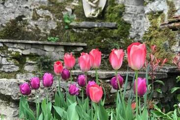 تختخواب و صبحانه Manoir Saint Pierre