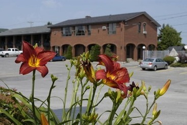 Motel Du Chevalier