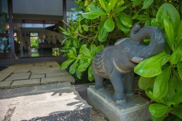 Курорт Reef Villa