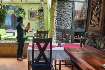 تختخواب و صبحانه Parachichi House Bnb