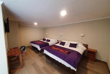 هتل Madero Talca