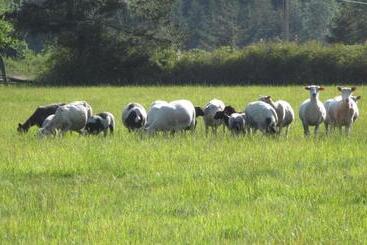 هتل Lopez Farm Cottages & Tent Camping