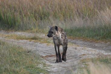 هتل Ngangane Lodge & Reserve