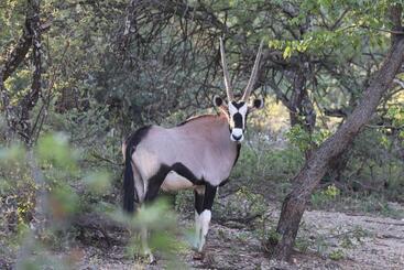 هتل Ngangane Lodge & Reserve