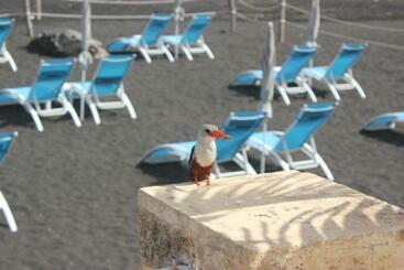 هتل Falucho Paradise Beach