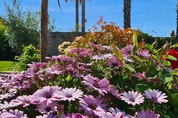 تختخواب و صبحانه Villa Martinus
