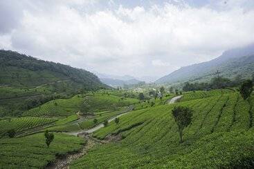 هتل Tea Valley Resort, Munnar