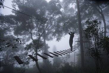 هتل Tea Valley Resort, Munnar