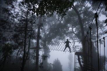 هتل Tea Valley Resort, Munnar