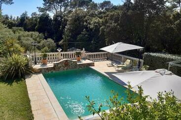 تختخواب و صبحانه Villa Xanadu