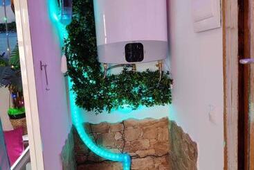 Bed and Breakfast Wonder Room Paraiso Magico Habitacion
