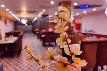 Aradhna Inn By Shrigo Hotels