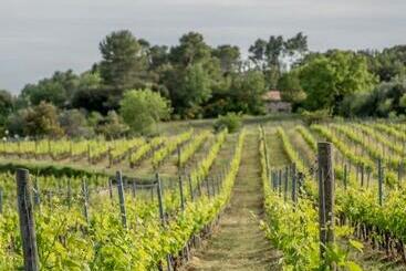 هتل Domaine Rabiega Vineyard And Boutique