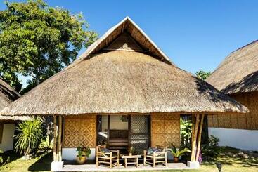 فندق Three Little Birds Resort