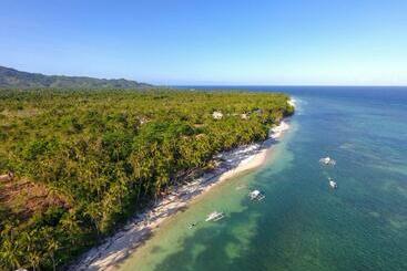 هتل Three Little Birds Resort