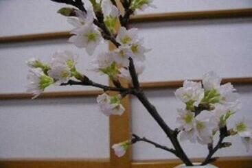 هتل Wakaba Ryokan / Vacation Stay 29362
