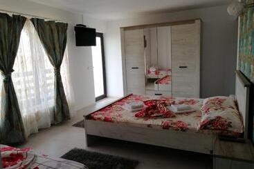 پانسیون Casa Iris Murighiol