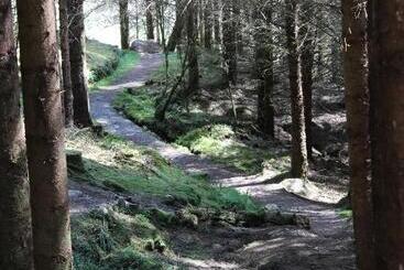 تختخواب و صبحانه Lothlorien